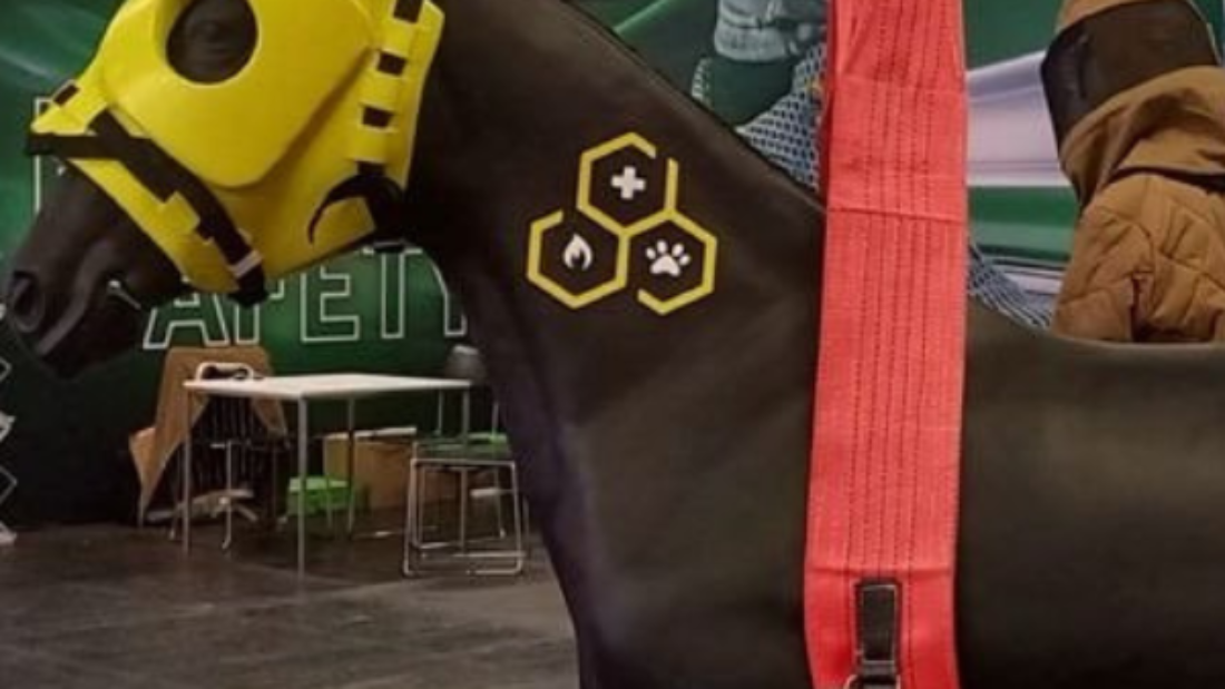 Titelbild Pferde-Rettungsschulung