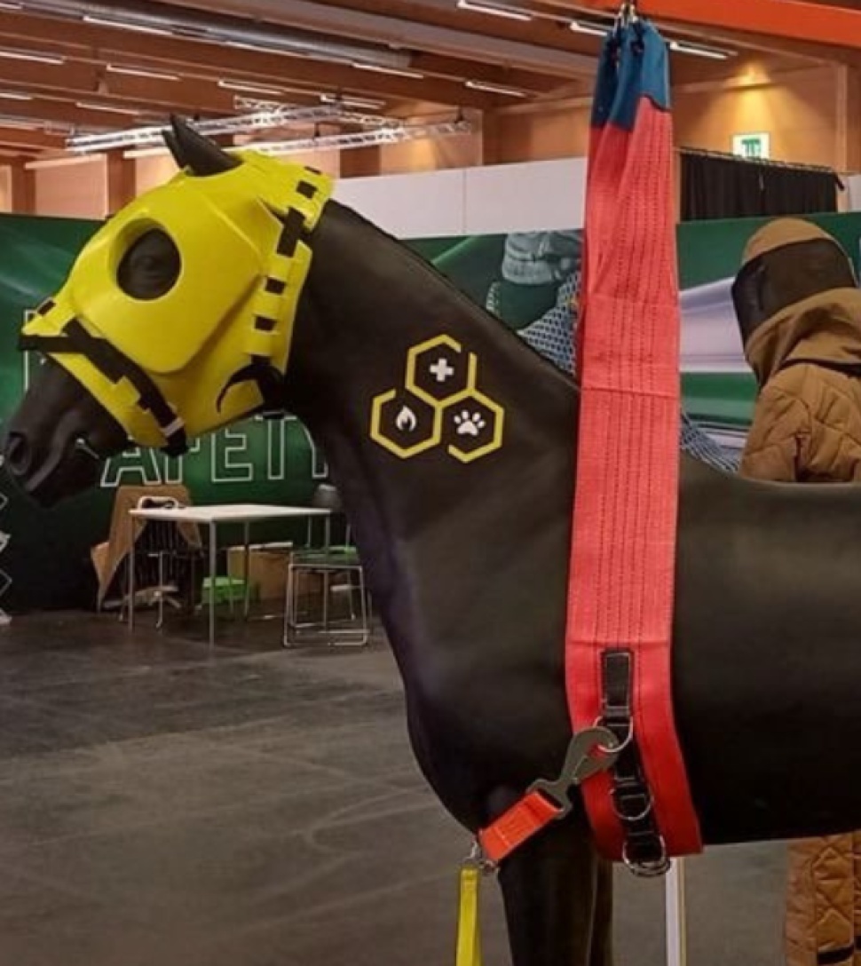Titelbild Pferde-Rettungsschulung