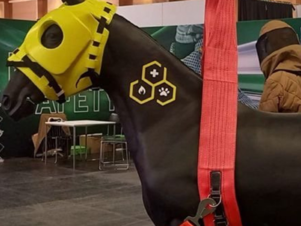 Titelbild Pferde-Rettungsschulung